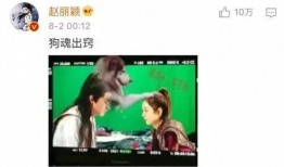 爆料成都颖宝公司事件视频,揭秘公司内部惊人真相