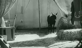 喜剧大师爆料视频大全